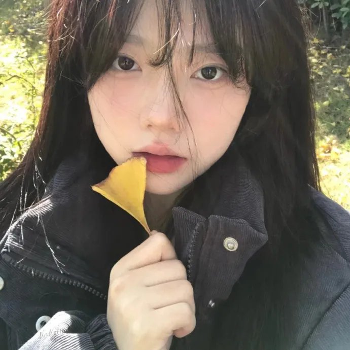 大明悬案录之鉴影篇